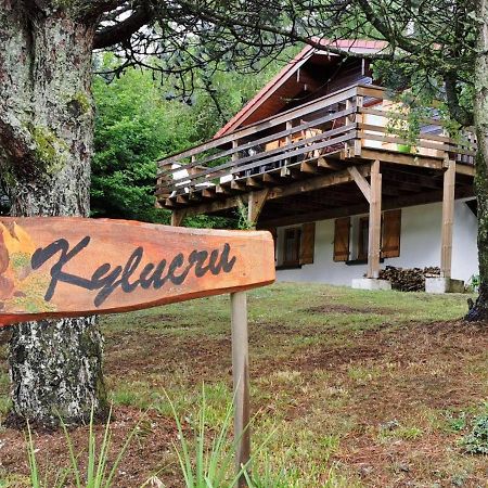 Chalet Kylucru 6 Personnes Classe 2 Etoiles Villa Xonrupt-Longemer Bagian luar foto